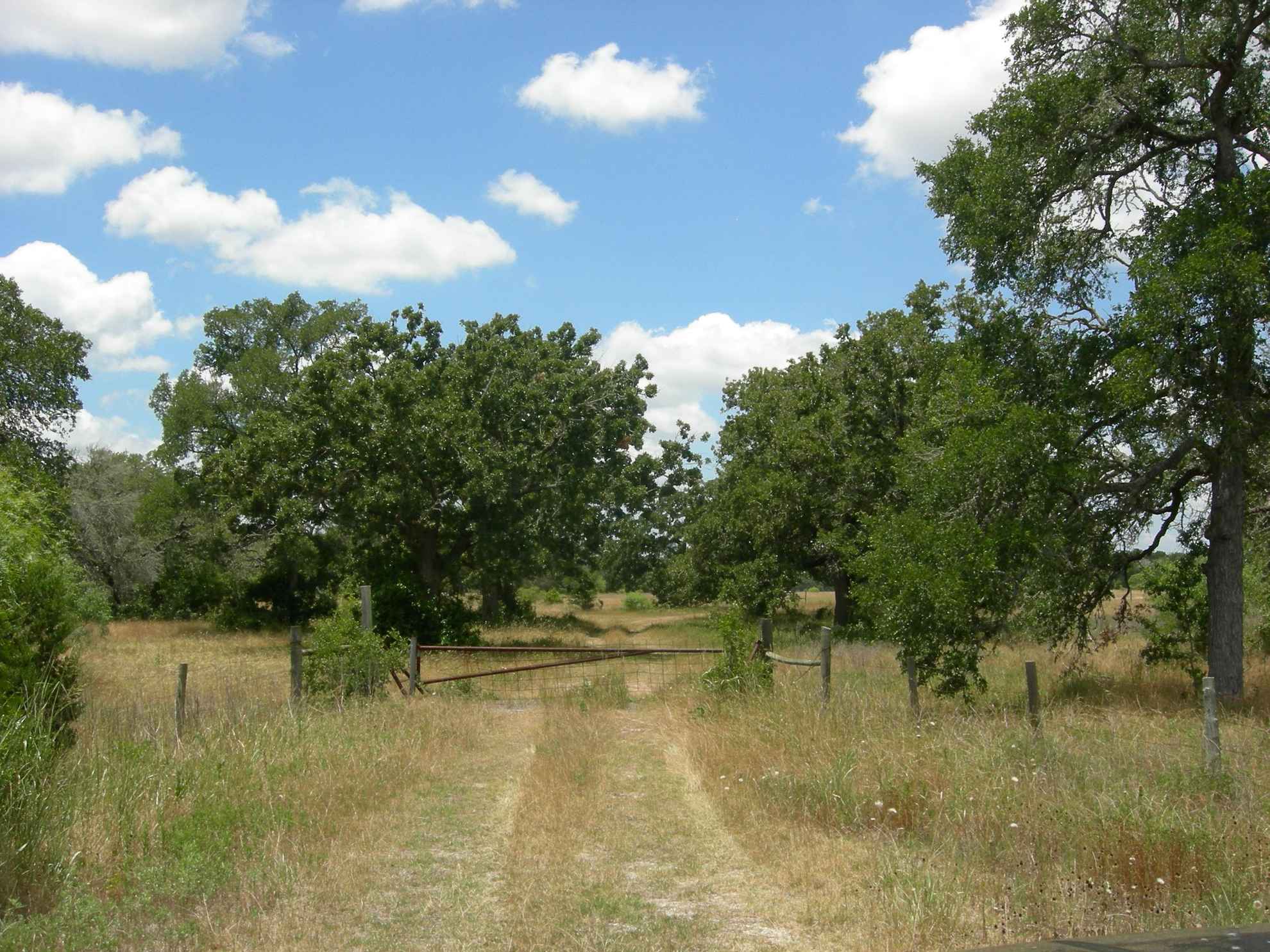 134.00 acres in Bastrop County, Texas - Hunt H Hellums Land Company